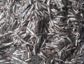 Một vài điều cần biết về nước mắm cá cơm nguyên chất tại Đà Nẵng